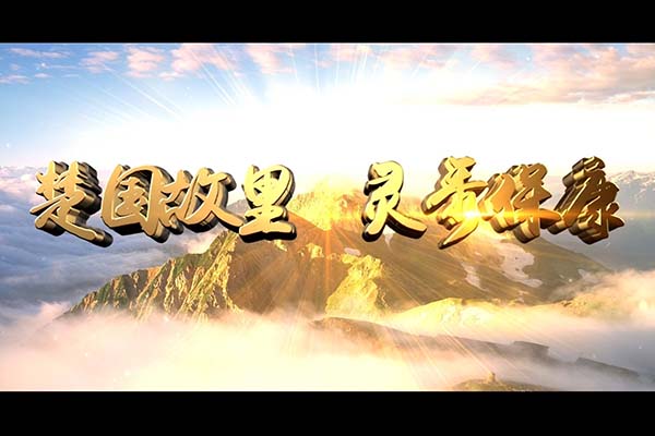 保康招商片